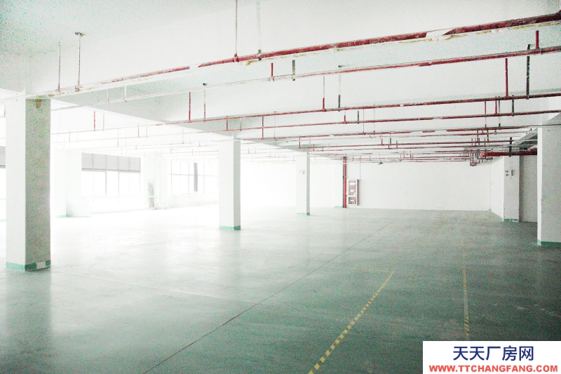 湖州織里童裝類廠房 匯聯跨境電商產業園 無中介費