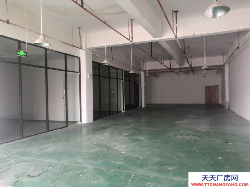 童裝行業廠房出租 產業帶集中 500平方 服裝行業 直播裁剪