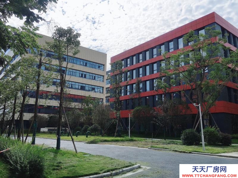 溫江醫藥廠房現房出租，政府租金優惠扶持