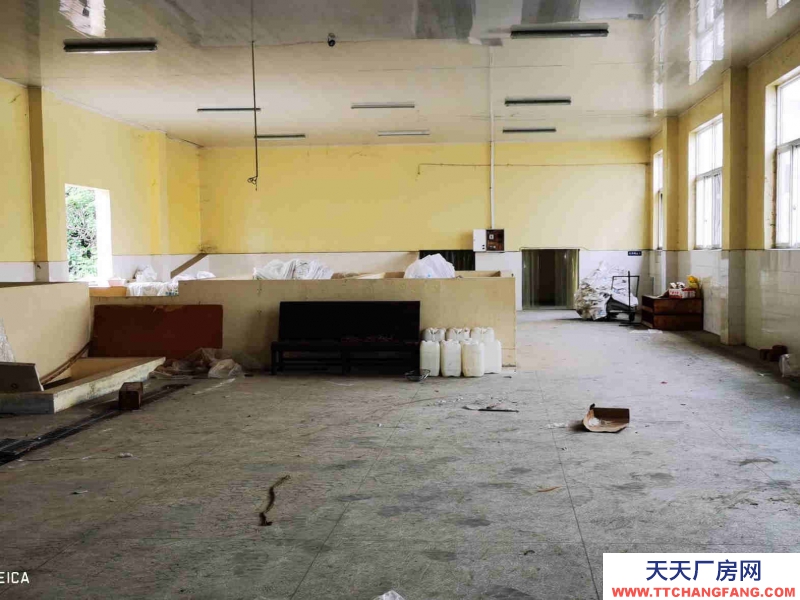 雙流調(diào)味品食品廠房出租