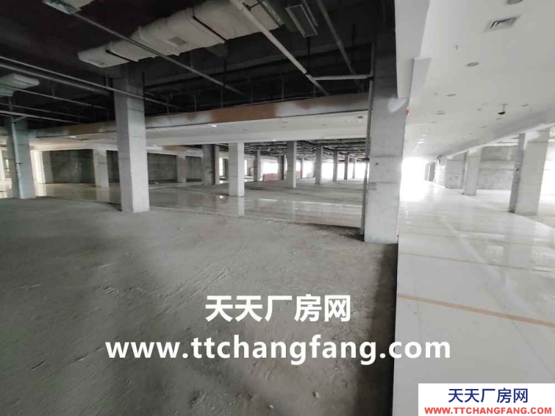 新都中央廚房食品廠房出租面積2000平米起分