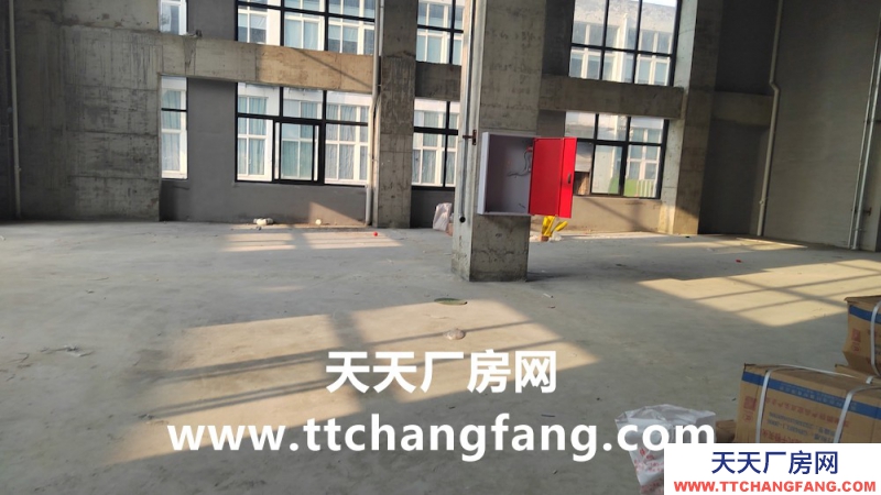 溫江全新食品標(biāo)準(zhǔn)廠房出租