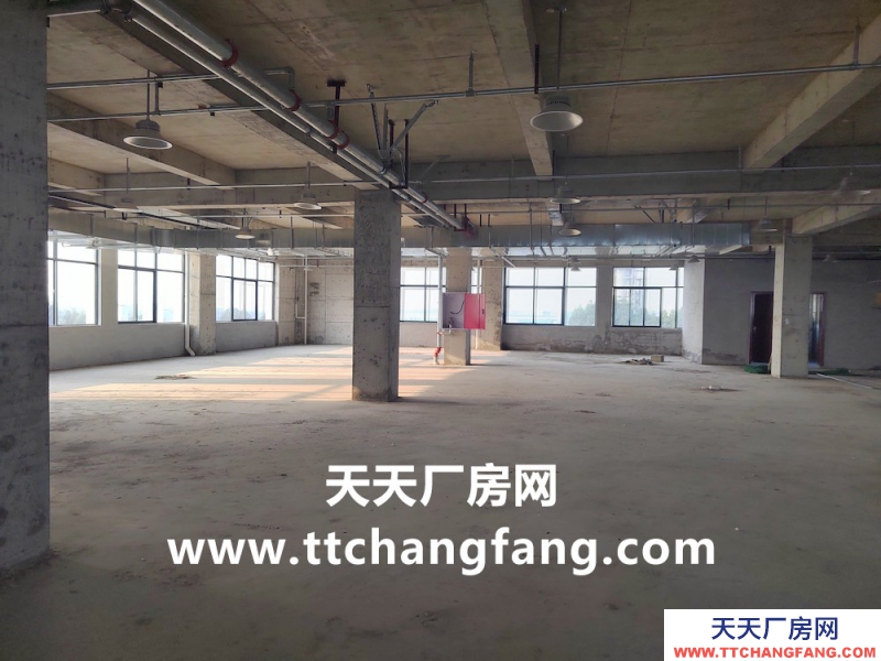 溫江全新食品標(biāo)準(zhǔn)廠房出租