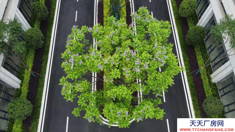 獨立產(chǎn)權(quán)現(xiàn)房廠房 生產(chǎn)研發(fā)辦公 環(huán)評安評保證 成都廠房