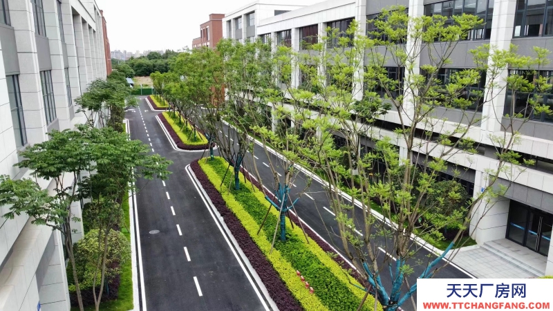 獨立產權現房廠房 生產研發辦公 環評安評保證 成都廠房