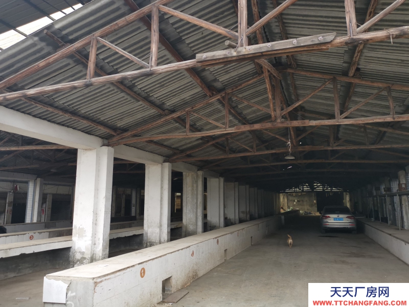 出租龍泉驛大面廠房、庫(kù)房、臨街鋪面