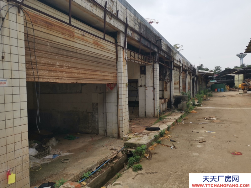 出租龍泉驛大面廠房、庫(kù)房、臨街鋪面