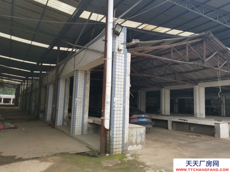 出租龍泉驛大面廠房、庫(kù)房、臨街鋪面