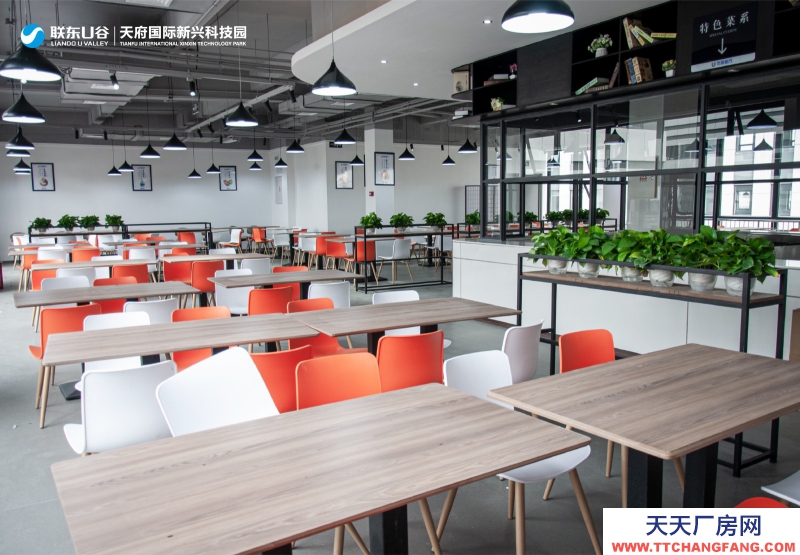 出租出售天府新區(qū)唯一可生產(chǎn)研發(fā)辦公廠房