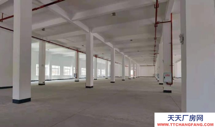 重慶廠房出租 全新框架廠房，李渡小企業基地