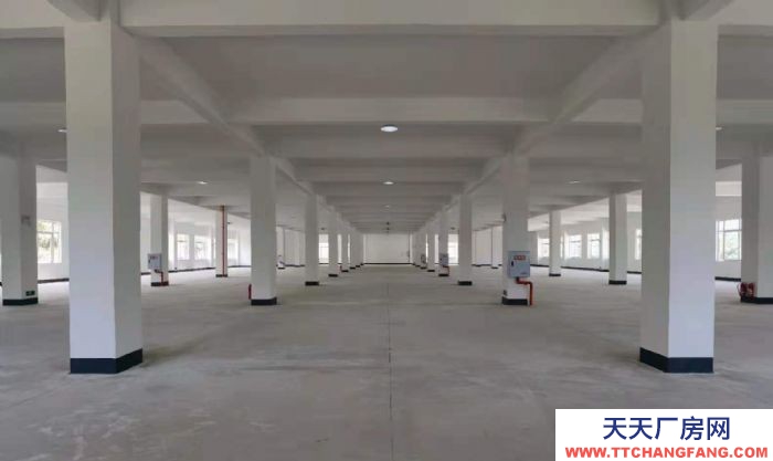 重慶廠房出租 全新框架廠房,李渡小企業基地