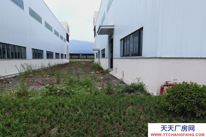 重慶凈高11米優(yōu)質(zhì)廠房?您發(fā)家的興旺之地