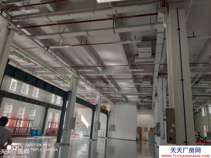 獨棟標準廠房租售，優質產業聚集，帶環評