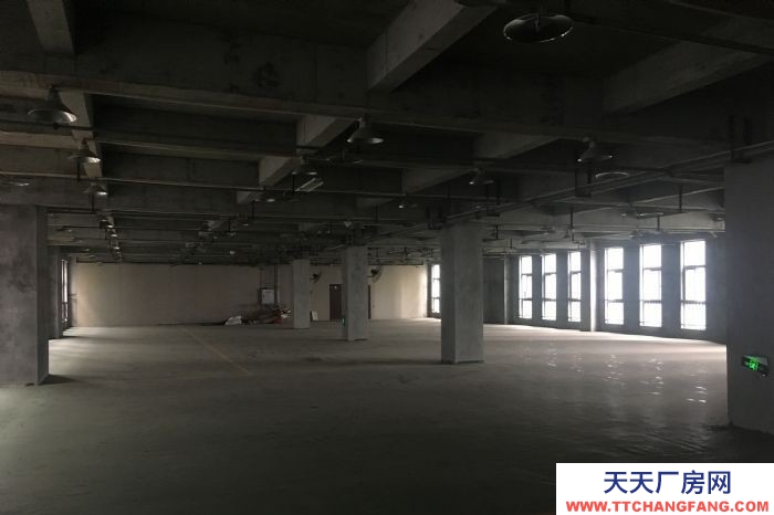 寸灘曙光園區標準獨立廠房出租，可用做倉庫或機加工