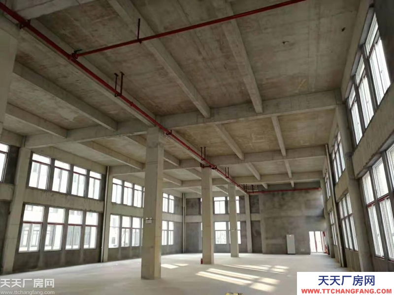 500-2000㎡,稀缺標準廠房出售——區位極佳