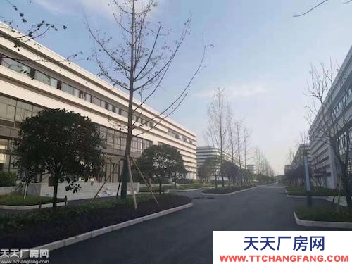 兩江新區江渝北 稀缺小戶型 實用標準廠房 適合生產研發辦公