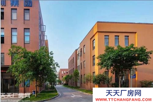 繞城高速邊上 高新產業園 標準廠房出租售 1000㎡起