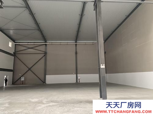 高新區沙坪壩 單層輕鋼結構 出租，11米層高，可分租