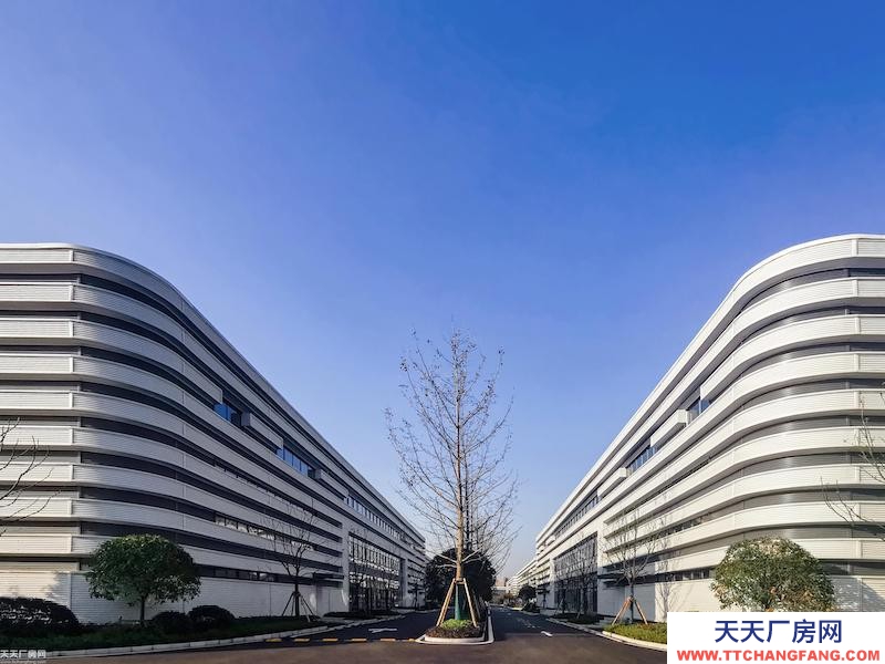 單層輕鋼11米層高，低租金