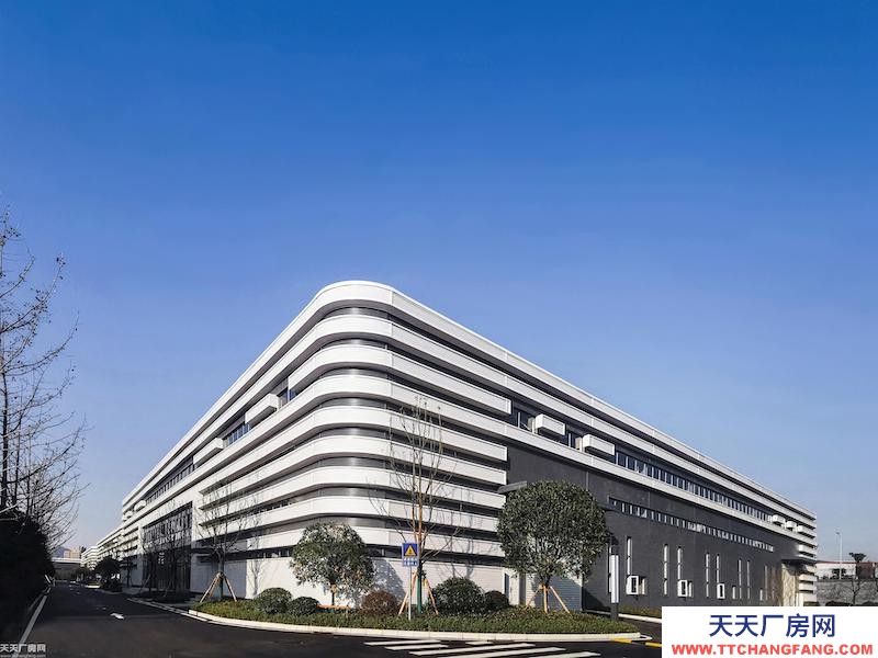 單層輕鋼11米層高，低租金