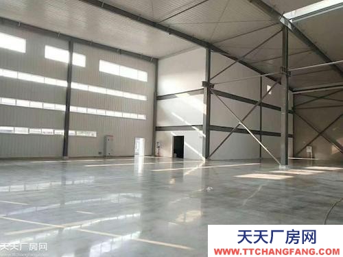 沙坪壩大學城（單層）輕鋼廠房出租（空高11米）