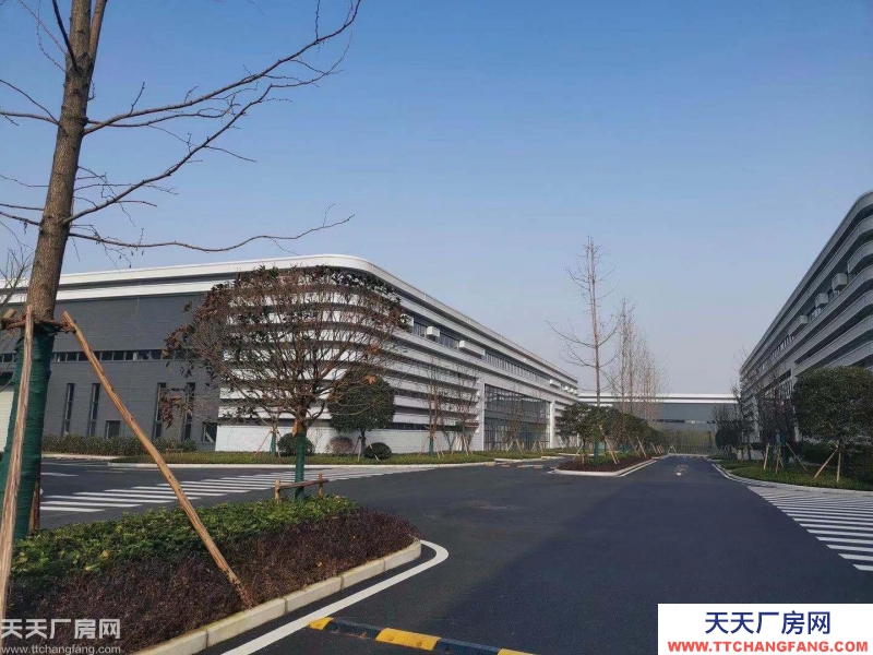 大學城僅有的正規廠房出租