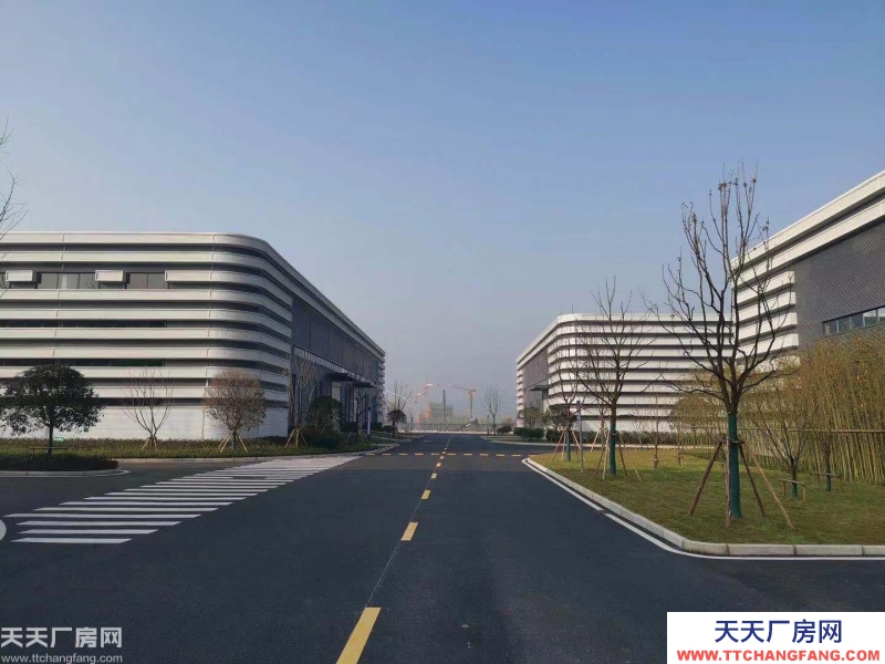 大學城僅有的正規廠房出租