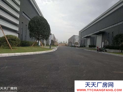 出租大學(xué)城曾家1600平單層鋼結(jié)構(gòu)廠房