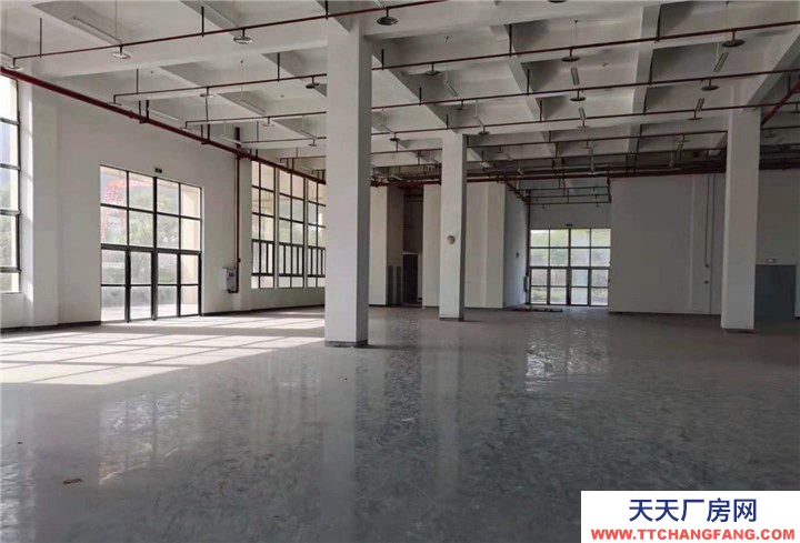 重慶九龍坡標(biāo)準(zhǔn)廠房出租，租金每平方16元，價(jià)格可談，可分租