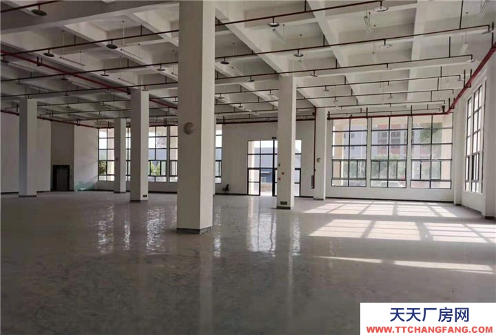 重慶九龍坡標準廠房出租，租金每平方16元，價格可談，可分租