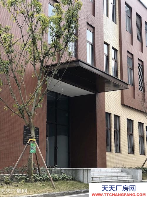 租售九龍坡周邊標準產業園區?廠辦一體框架廠房?可享政策