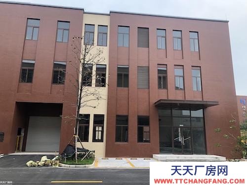 稀缺廠房 聯(lián)動招商 雙福新區(qū)國際企業(yè)港