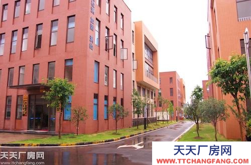 主城稀缺標準廠房租售(800平起)