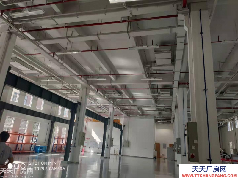 內環旁,獨棟標準廠房租售,1000平起