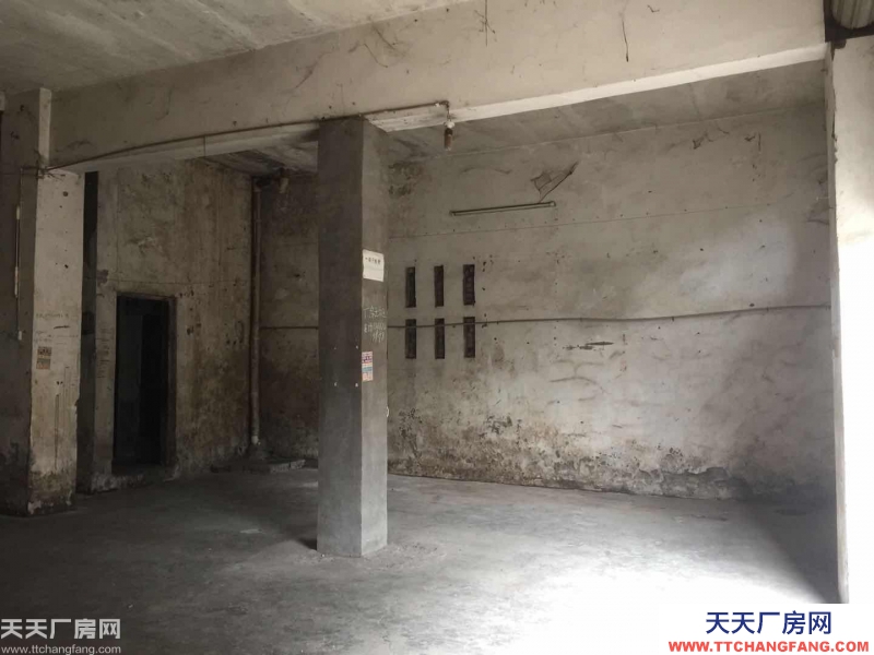 重慶九龍坡廠房出租