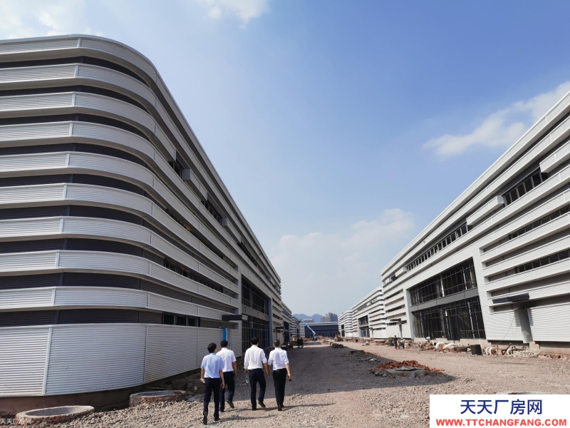 標準廠房租售，獨棟雙拼，1000平起