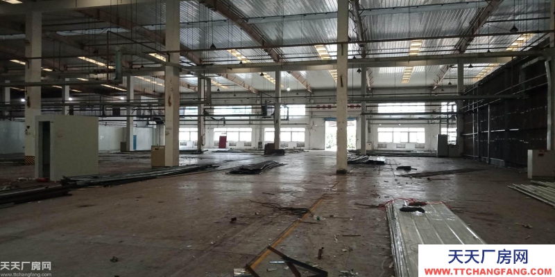 南岸區(qū)茶園新區(qū)附近廠房出租和庫房出租