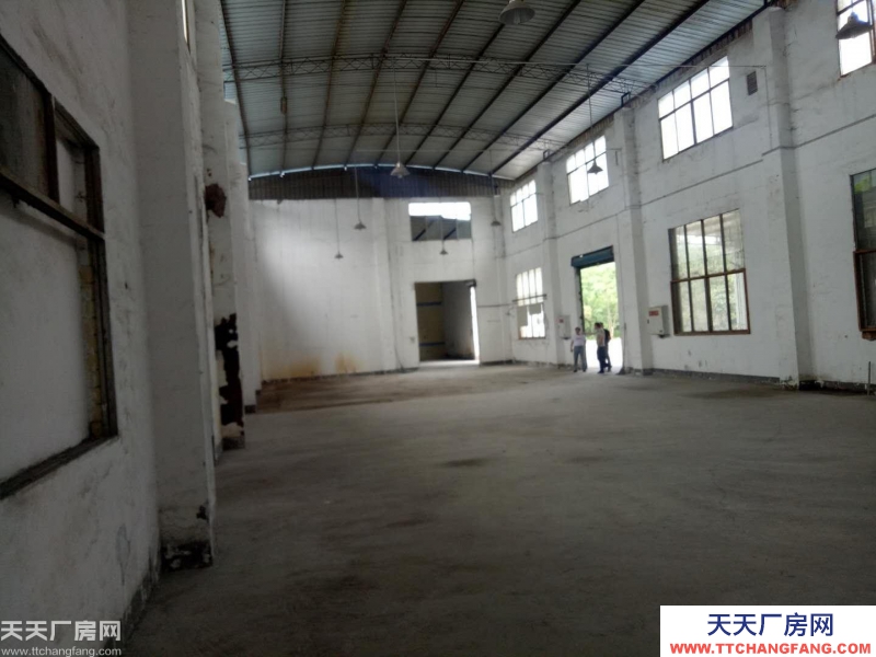 南岸區(qū)茶園新區(qū)1050廠房出租