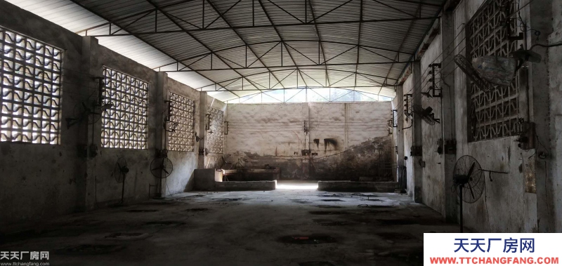 南岸區南山1400平廠房出租