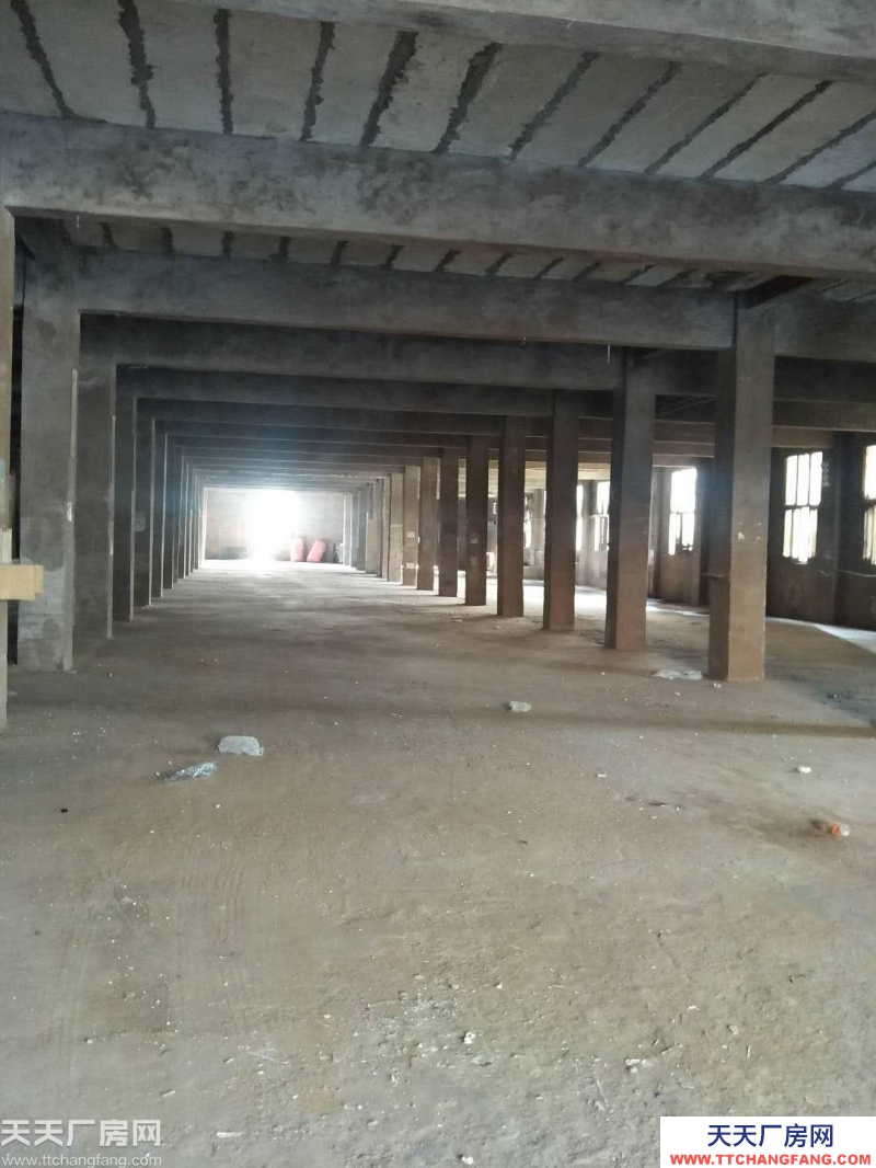 南岸區南山3600平米廠房出租