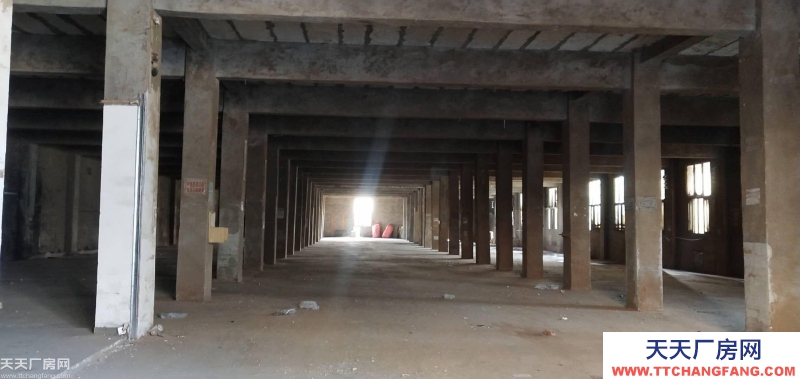 南岸區南山3600平米廠房出租