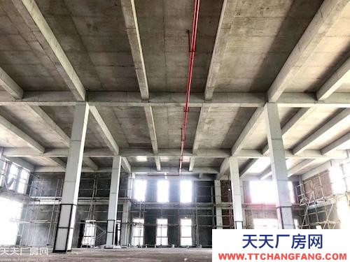 兩江水土園區800-5000㎡獨棟廠房租售