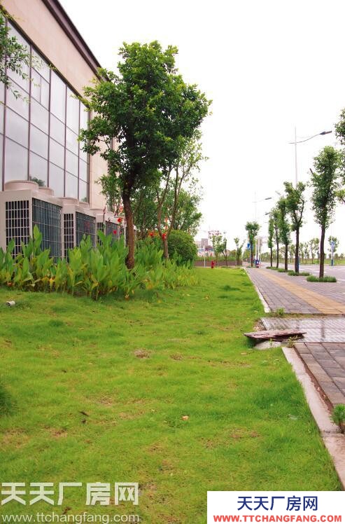 歇馬周邊獨(dú)棟標(biāo)準(zhǔn)廠房租售可過環(huán)評(píng)交通便利