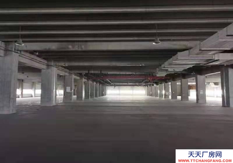 渝北空港東路大平層200?15000平方出租