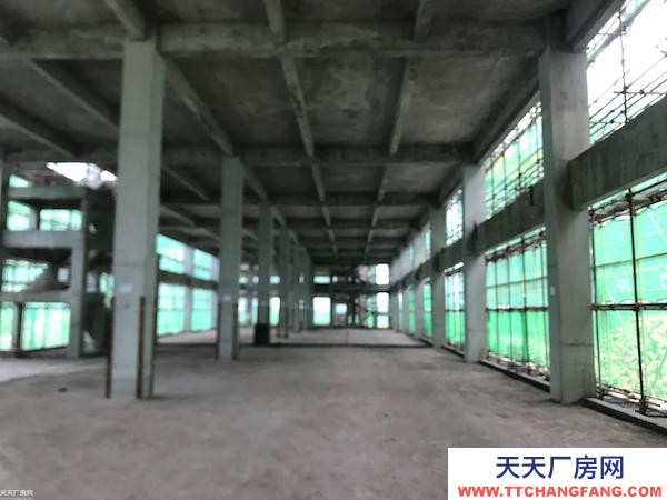 兩路、回興 標準廠房 出租出售，50年產權，可安行車