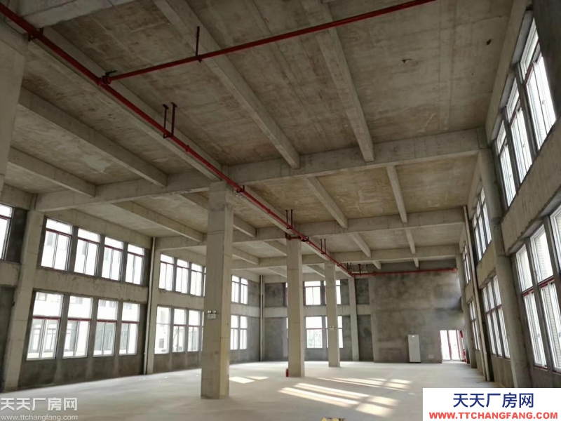 水土標準園區(qū) 標準廠房 獨棟雙拼聯(lián)排 1000㎡起