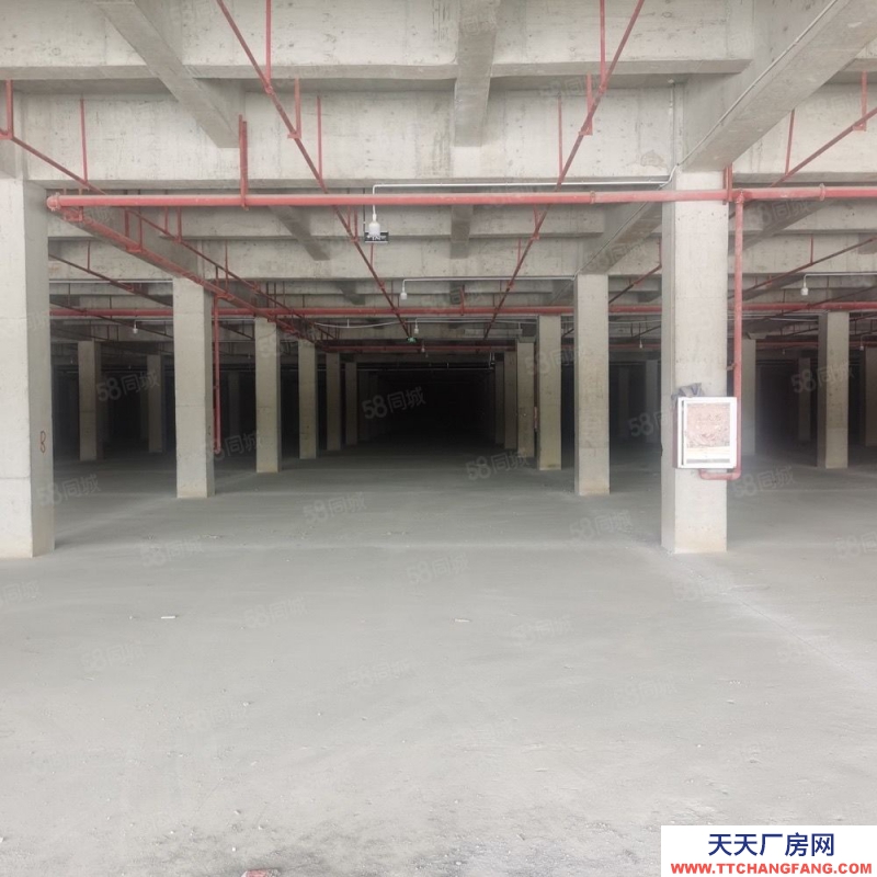 (出租)房東直租，白云區(qū)廠房出租12000平，可分租