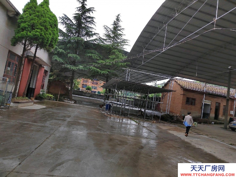 (出租) 急租。房租便宜。可轉(zhuǎn)讓，可分租