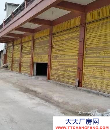 (出租) 適合貨物儲存堆放，加工作坊，