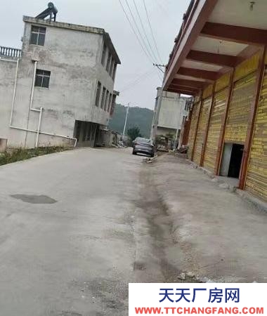 (出租) 適合貨物儲存堆放，加工作坊，